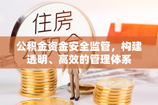 阿莲公积金资金安全监管，构建透明、高效的管理体系