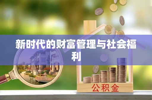 阿莲新时代的财富管理与社会福利