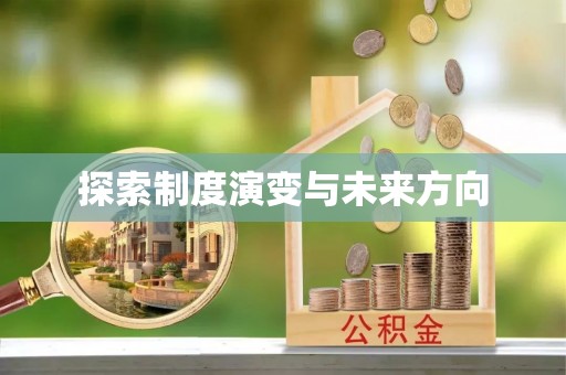 阿莲探索制度演变与未来方向
