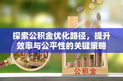 阿莲探索公积金优化路径，提升效率与公平性的关键策略