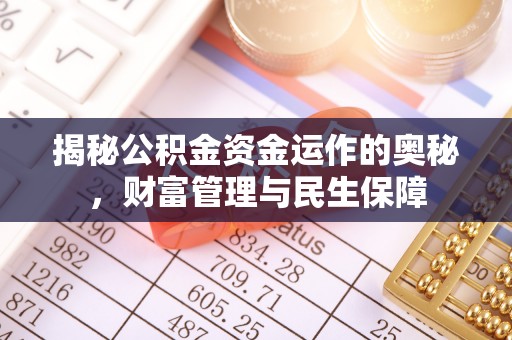 阿莲揭秘公积金资金运作的奥秘，财富管理与民生保障