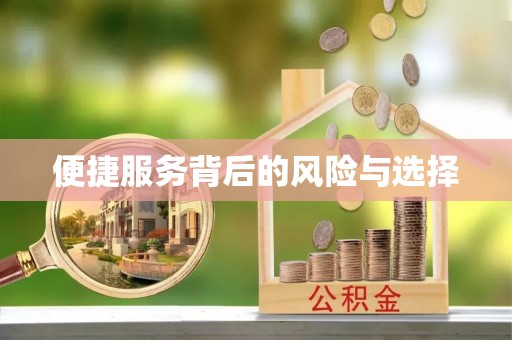 阿莲便捷服务背后的风险与选择